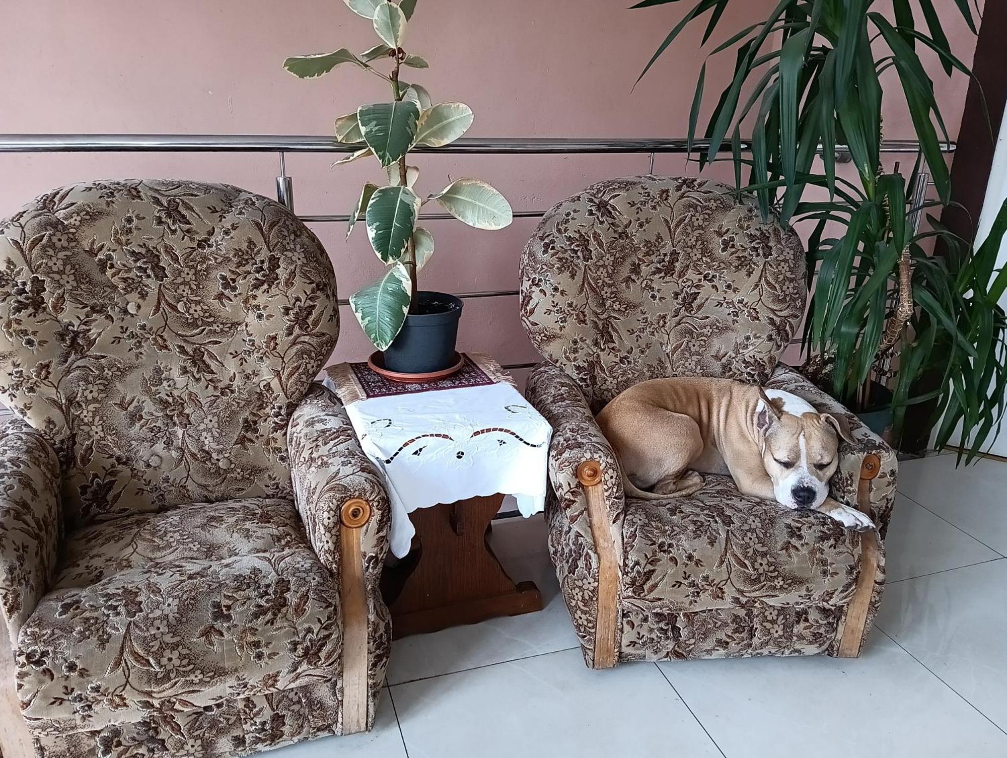Noclegi Centrum 耶莱尼亚古拉 外观 照片